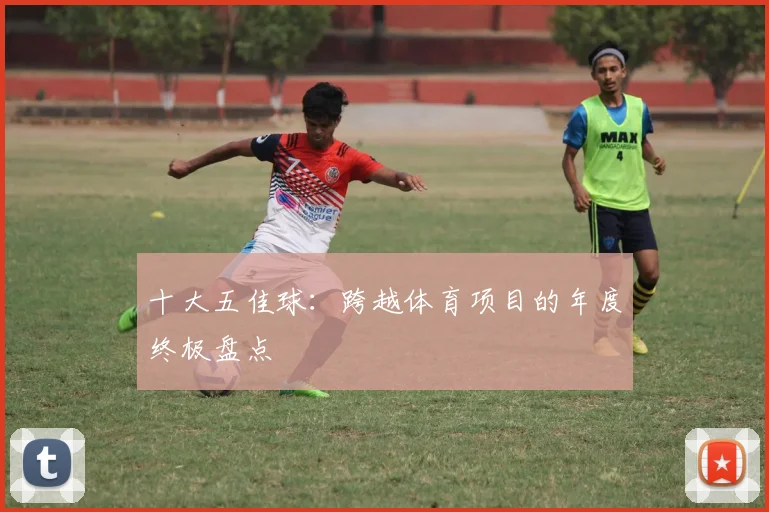 十大五佳球：跨越体育项目的年度终极盘点